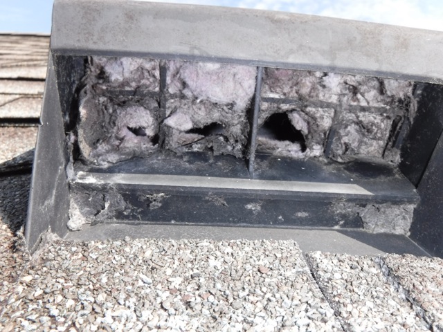 Dryer Vent Cleaning & Repair - Before Image